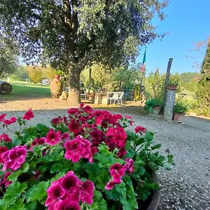  Alloggio per agriturismo Azienda Agricola Polveraia Italia